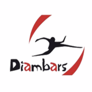 迪雅宝罗斯队徽