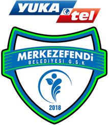 梅克泽芬迪队徽