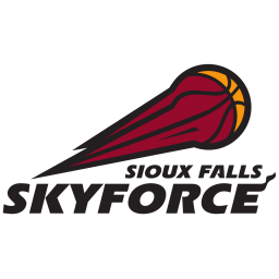 苏瀑天空力量队徽