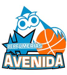 阿维尼达女篮队徽