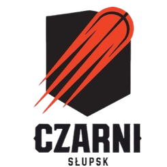 恩尼加斯扎尼队徽