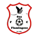 苏阿火烈鸟队徽