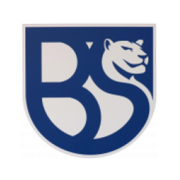 布雷西亚联合队徽