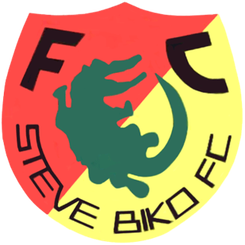 史蒂夫比科队徽